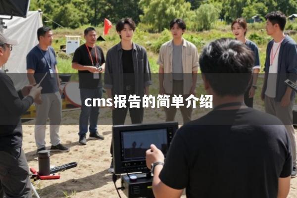cms报告的简单介绍