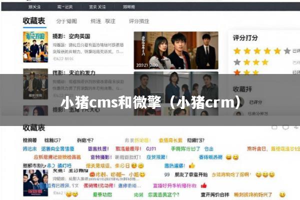 小猪cms和微擎(小猪crm)